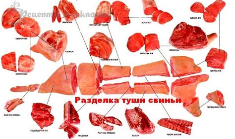 Сравнение характеристик свиной лопатки и свиного окорока