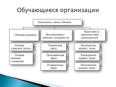 Сравнение эффективности автократической и демократической организационных структур