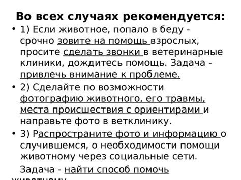 Срочно обратитесь в полицию и передайте информацию о случившемся