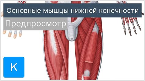 Статическое напряжение мышц нижних конечностей