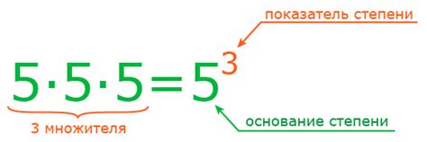 Степень упругости кожуры как показатель спелости