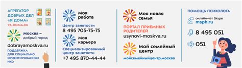 Стоимость и доступность: сравнение цен и возможности приобретения