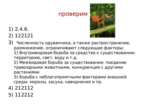 Столкновение с другими животными: борьба за территорию