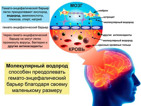 Стресс и воздействие на нервную систему