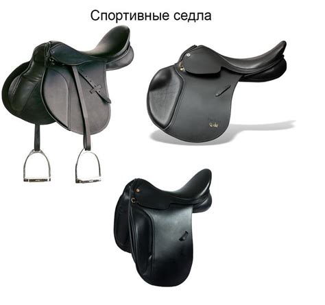 Строение и основные элементы верхового седла: информация для профессионалов и начинающих наездников
