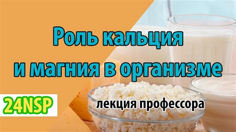 Строительные блоки: роль белков, фосфора и магния в поддержании здоровых костей