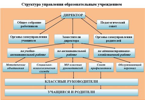 Структура и организация деятельности медицинского управления