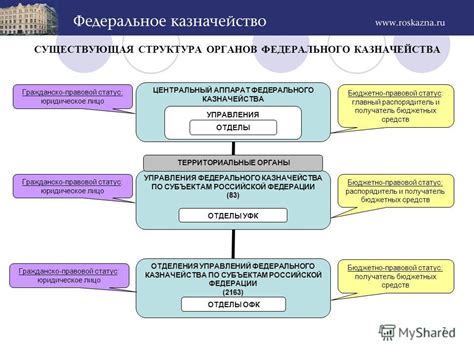 Структура и органы управления федерального казначейства