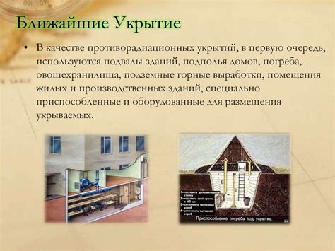 Структура убежища и его особенности