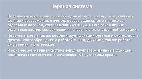 Суть дыхания в управлении проектом: советы и рекомендации от экспертов