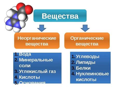 Существенные различия между органическими и неорганическими веществами
