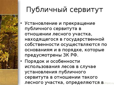 Сущность публичного сервитута на территории лесного участка: понимание сутью и важностью