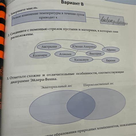 Схожие особенности двух препаратов
