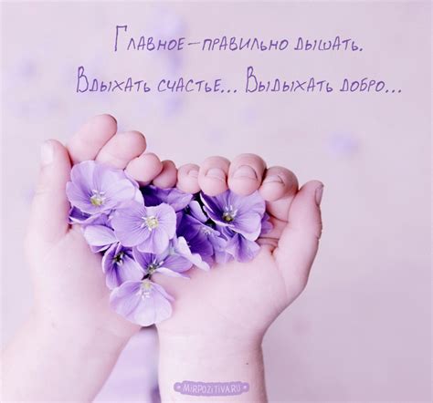 Счастье и тепло в каждом прекрасном цветочном присутствии