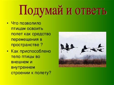 Тайна черного прелетающего птицы во внутреннем дворе: готовы к разгадке!