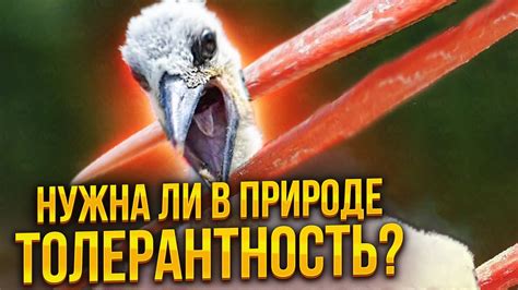 Тайные враги, скрывающиеся под маской доброты