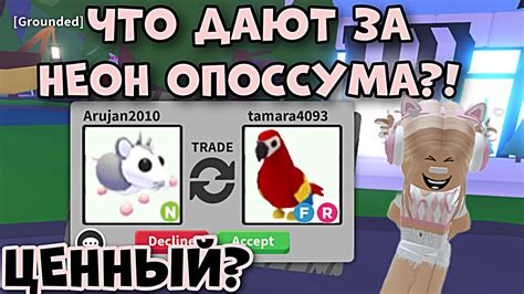 Тайные приемы организации яркого неонового товарища в Роблокс Adopt Me!