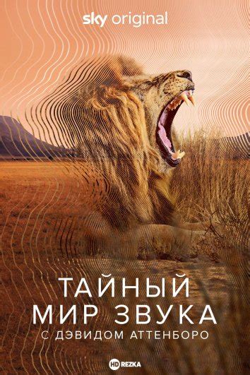 Тайный мир сновидений: Мужчины в главной роли