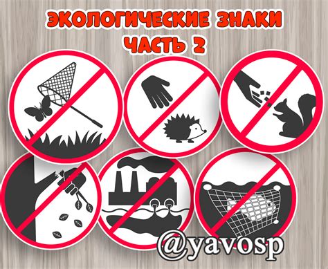 Тайны и знаки, связанные с наличием сороки на полконнике