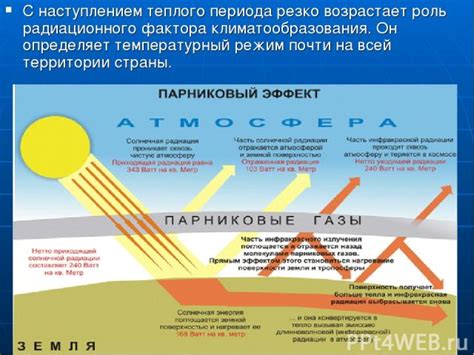 Тайны и особенности теплого оттенка земли