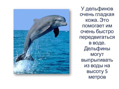 Тайны сновидений о путешествиях на древнем морском животном