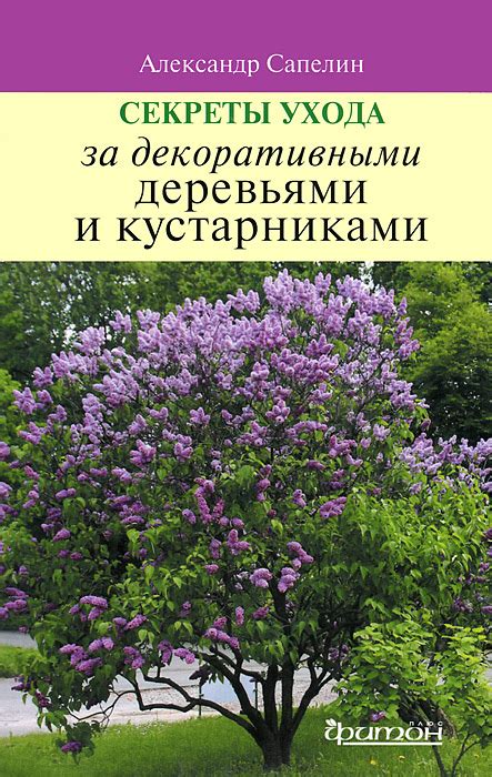 Тайны ухода за кустарниками в загородном участке