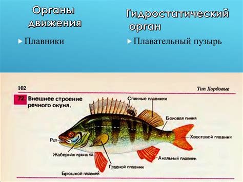 Тактики противостояния в водной среде: использование оружия и артефактов