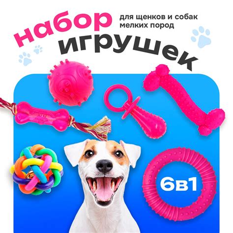 Творческий подход к разработке игрушек для собак различных пород