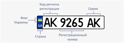 Текущие ограничения на автомобиль по государственному номерному знаку