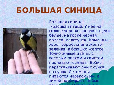 Тема 1.1: Понимание значения снов с насекомыми на теле у женщин