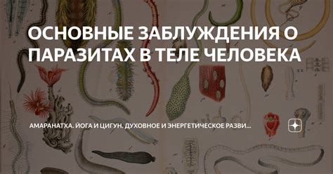 Тема 3: Преобразование смысла снов о паразитах на теле женщины
