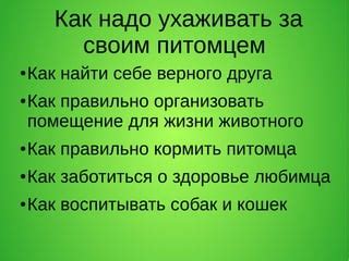 Тема 6. Значение пророчественных снов о поиске и утрате верного питомца