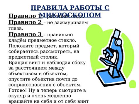 Техника работы с микроскопическим объектом: особенности и приемы