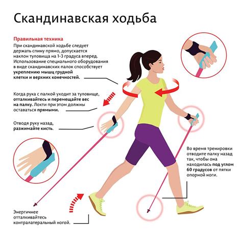 Техника спортивной ходьбы