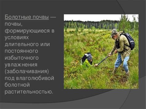 Техники поддержания постоянного и равномерного увлажнения почвы
