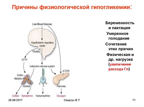 Технологические новинки в регуляции уровня глюкозы
