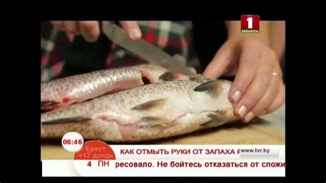 Традиционные способы очистки рыбы - проверенные методы и их особенности