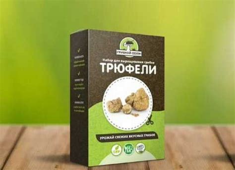 Требования для успешного выращивания трюфелей и их полезность для организма