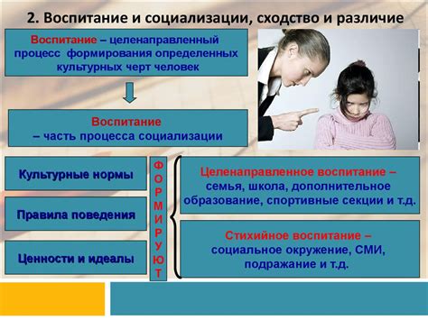 Тренировка и социализация: основа для устранения негативного поведения питомца