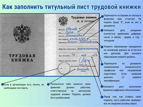 Трудовая книжка: значимый документ в жизни каждого работника
