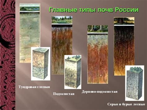Увлажнение почвы не в соответствии с требованиями растения