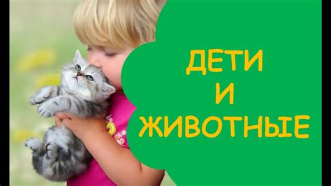 Увлекательные представления и уникальные показы: динамичное взаимодействие с животными