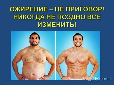 Углеводы и избыточное потребление: влияние на накопление жировой массы