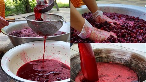 Удаление вишни своими руками без применения химических средств