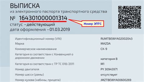 Узнайте номер электронного документа по уникальному идентификационному номеру автомобиля