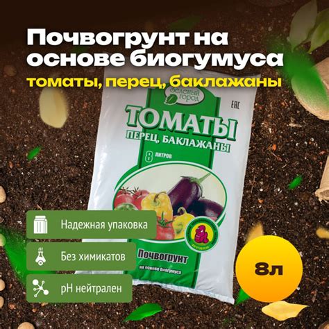 Узнайте советы экспертов по выбору идеальной посуды для живых растений