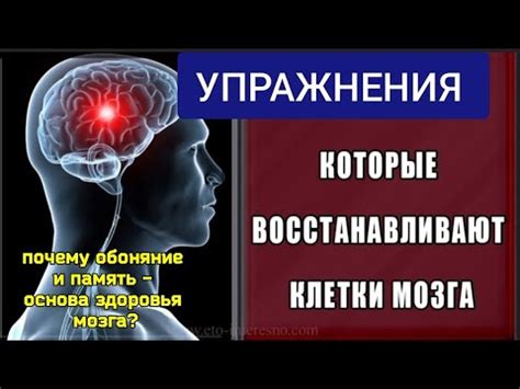Укрепите свою память, изменяя свой образ жизни