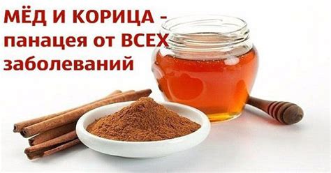 Укрепление защитной системы организма при помощи сочетания корицы и меда