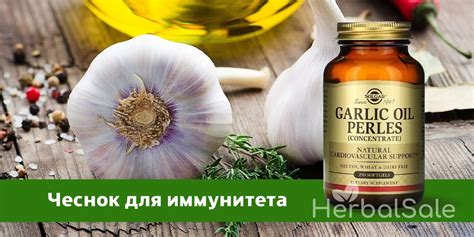 Укрепление иммунитета с помощью сочетания чеснока и молока