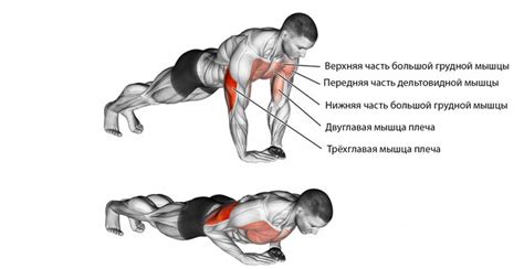 Укрепление мышц верхней части тела и пресса: отжимания и скручивания